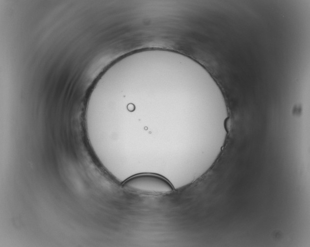 X0000113870098200910151311