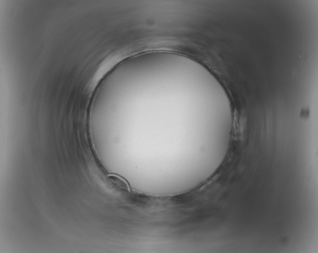 X0000113870099200910151311