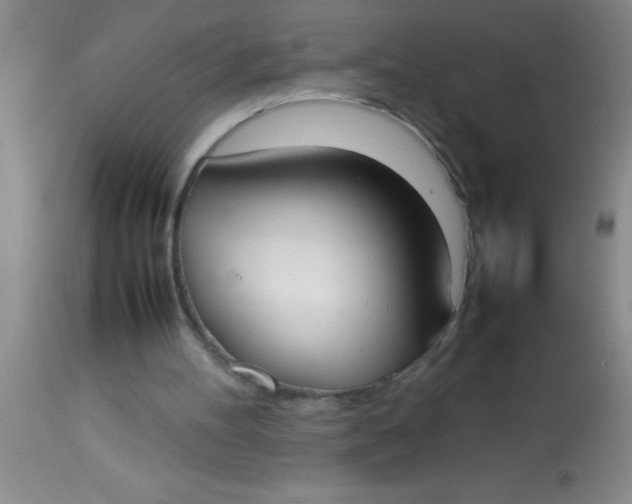 X0000113870100200910151311