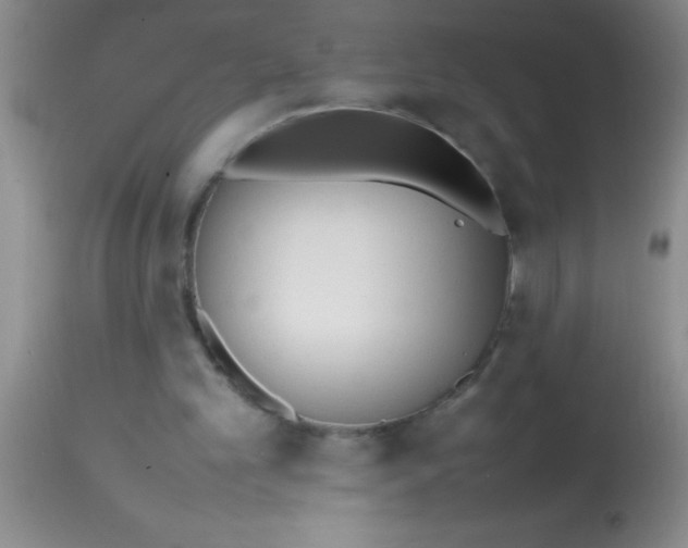 X0000113870101200910151311