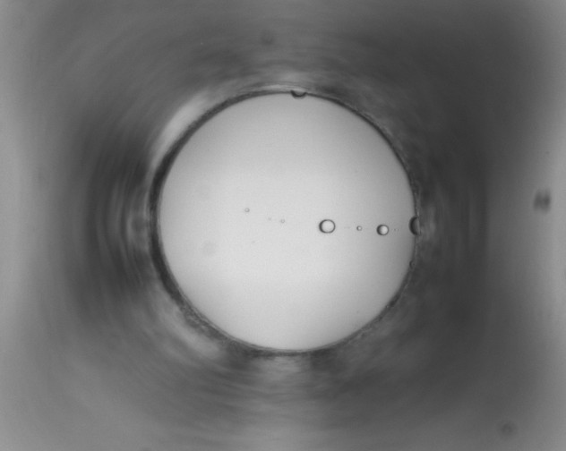 X0000113870102200910151311