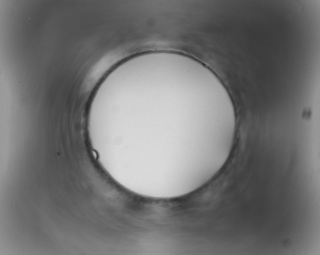 X0000113870103200910151311