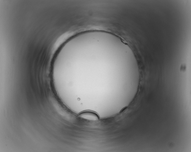 X0000113870104200910151311