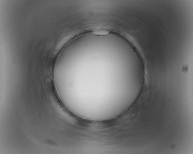 X0000113870105200910151311