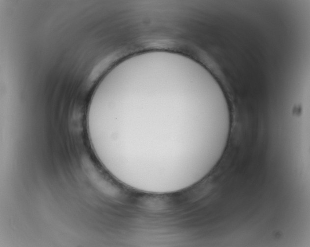 X0000113870106200910151311