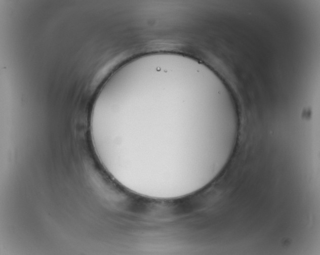 X0000113870107200910151311