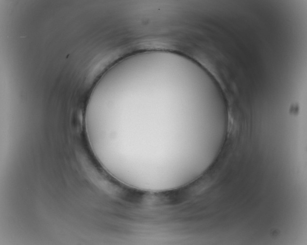 X0000113870109200910151311