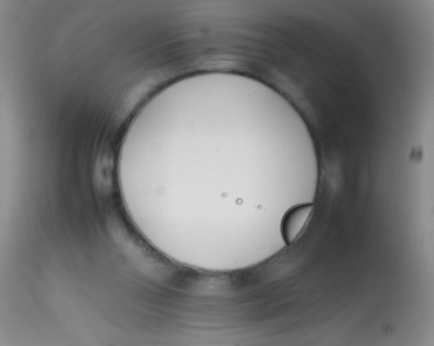 X0000113870110200910151311