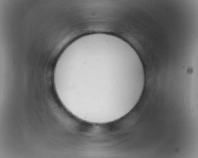 X0000113870111200910151311