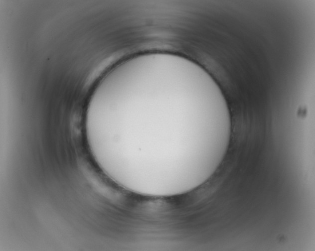 X0000113870112200910151311