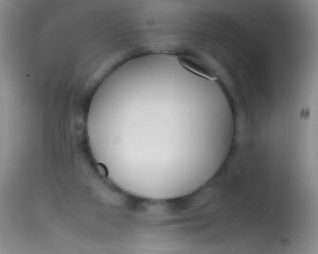 X0000113870113200910151311