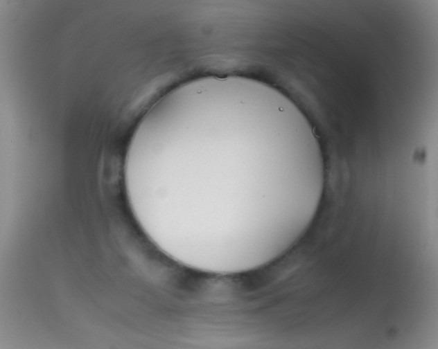 X0000113870115200910151311