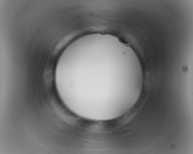 X0000113870116200910151311