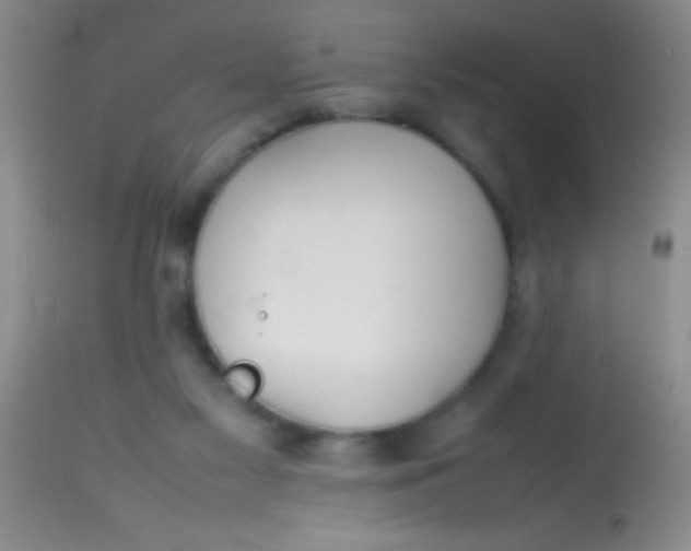 X0000113870117200910151311