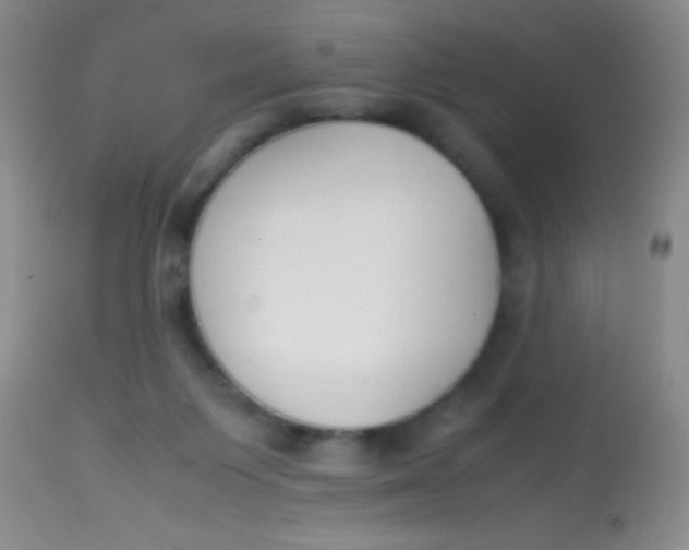 X0000113870119200910151311