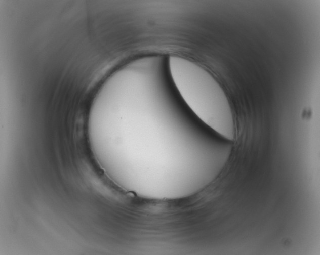 X0000113870120200910151311