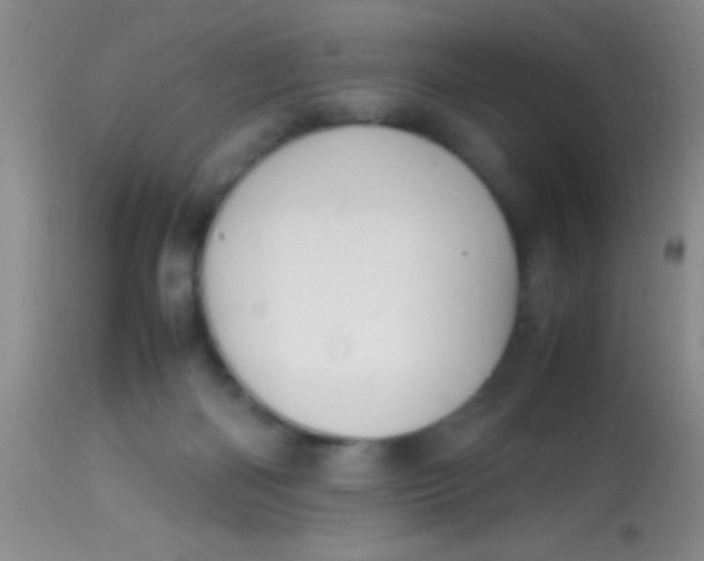 X0000113870122200910151311