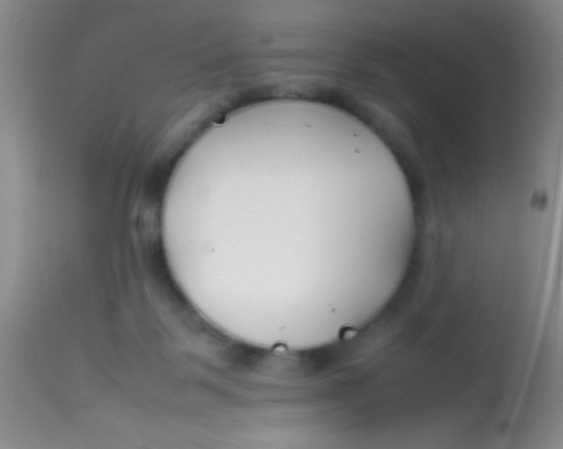 X0000113870123200910151311