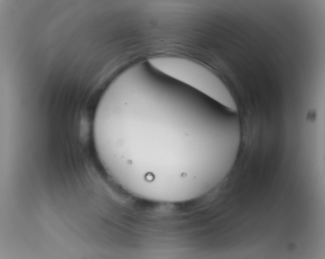 X0000113870124200910151310