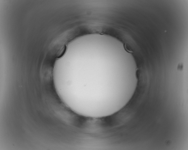 X0000113870125200910151310