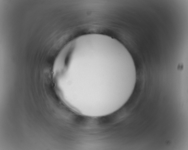 X0000113870127200910151310