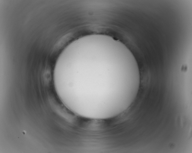 X0000113870128200910151310