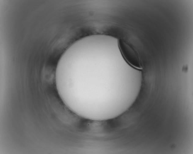 X0000113870129200910151310