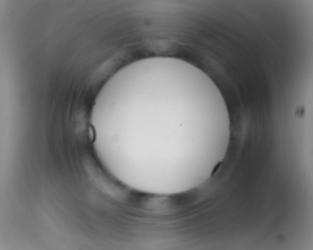 X0000113870132200910151310