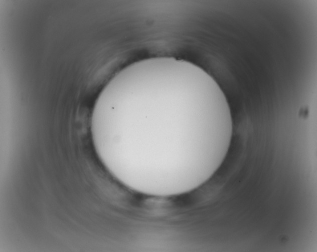 X0000113870133200910151310