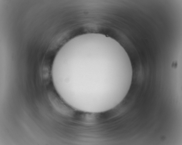 X0000113870134200910151310