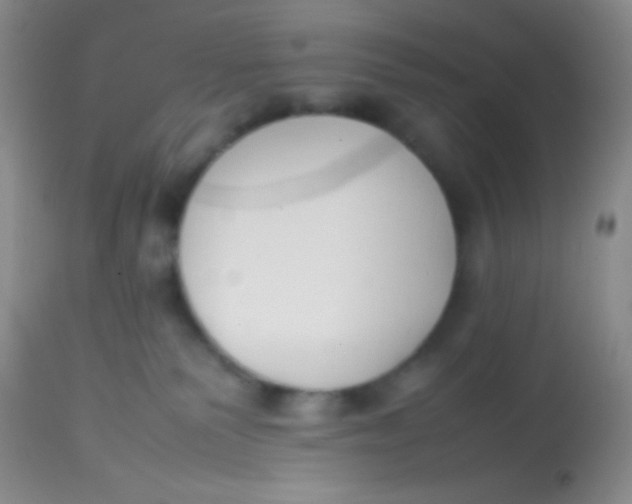 X0000113870135200910151310