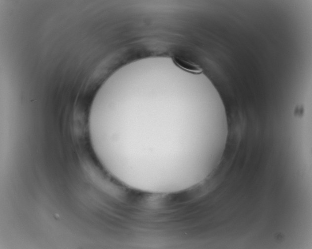 X0000113870136200910151310