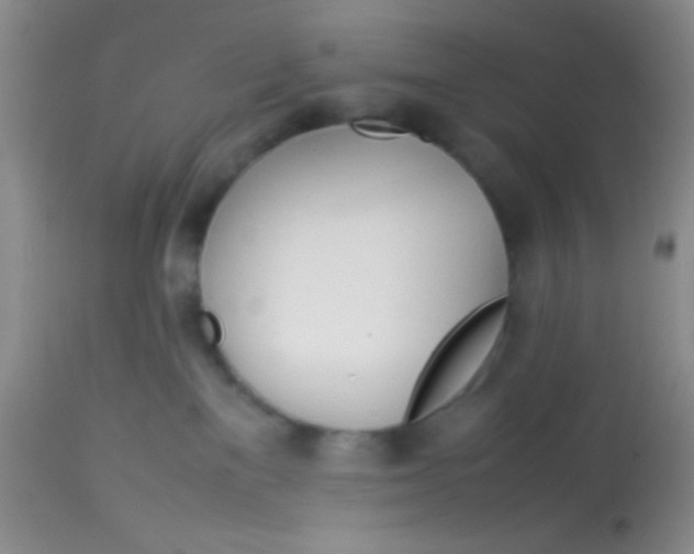 X0000113870137200910151310