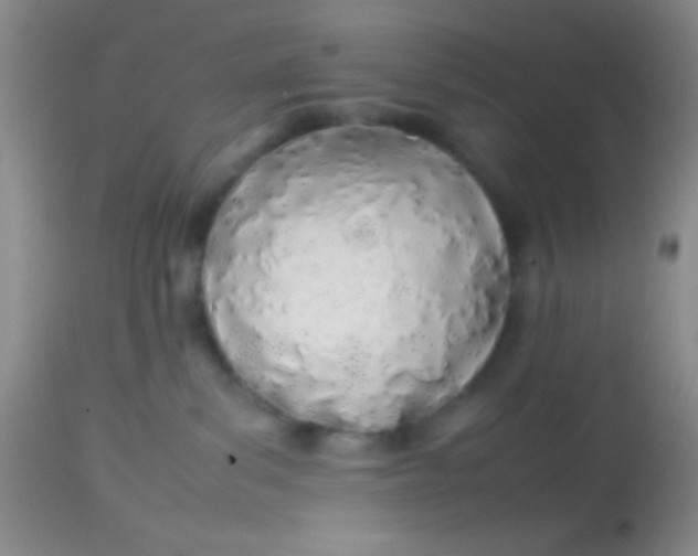 X0000113870139200910151310