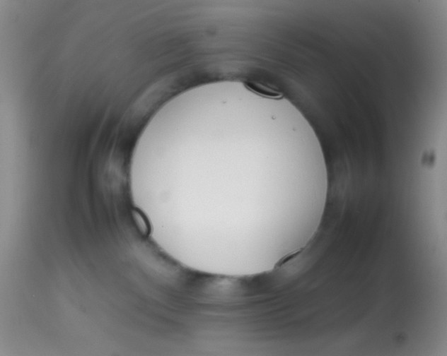 X0000113870140200910151310