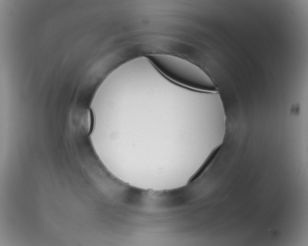 X0000113870141200910151310