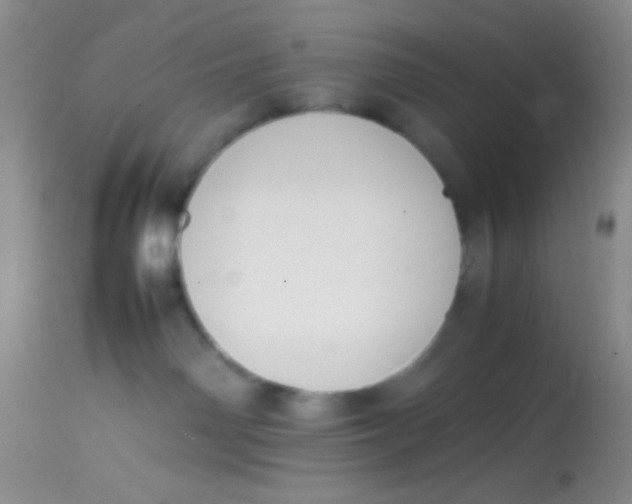 X0000113870142200910151310