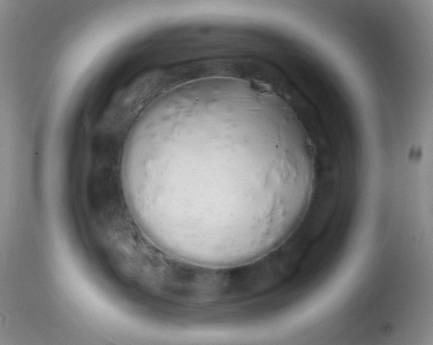 X0000113870143200910151310