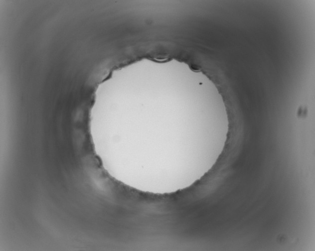 X0000113870144200910151310