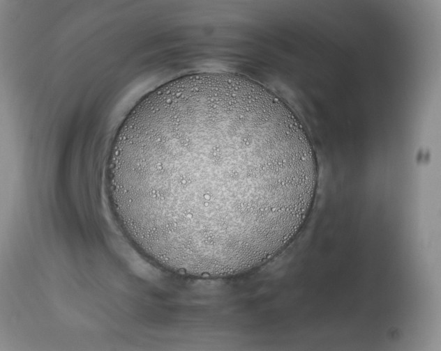 X0000113870145200910151309