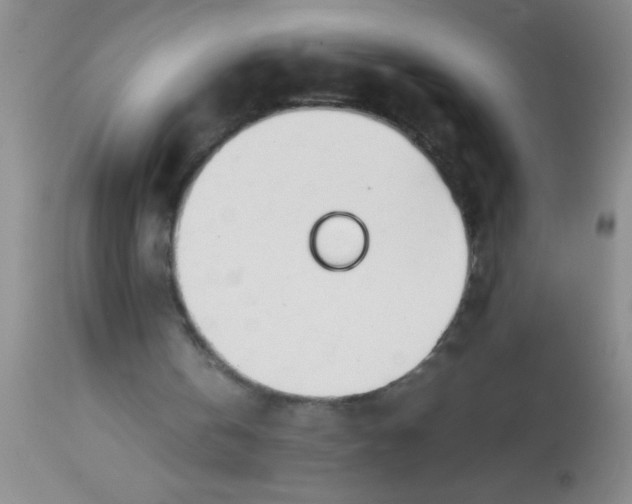 X0000113870146200910151309