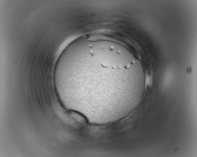 X0000113870147200910151309