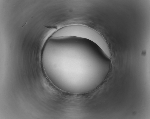 X0000113870148200910151309