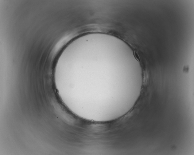 X0000113870150200910151309