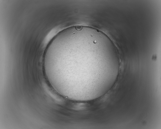 X0000113870151200910151309