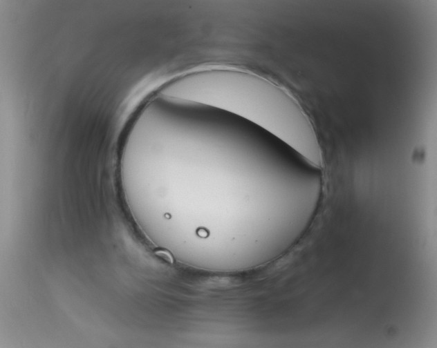 X0000113870152200910151309