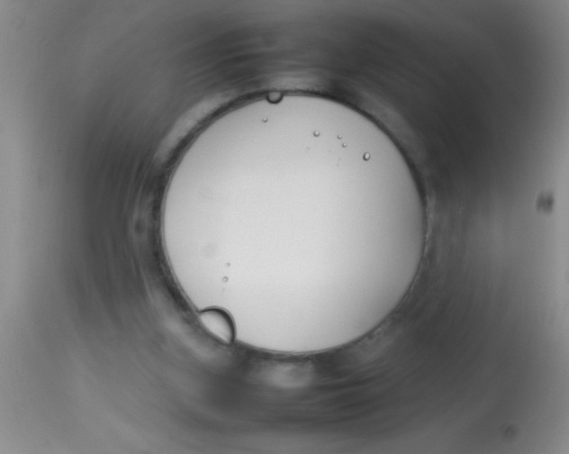 X0000113870155200910151309