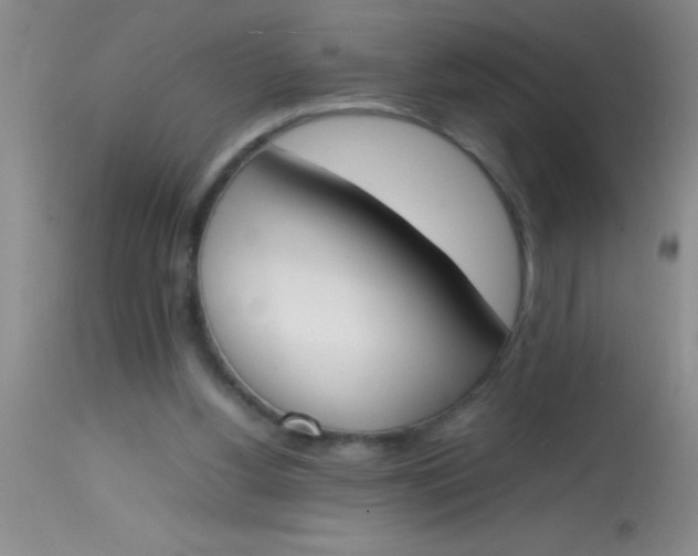 X0000113870156200910151310