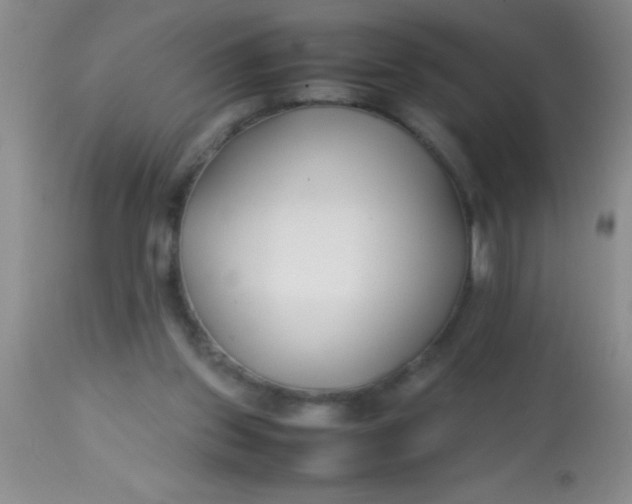 X0000113870157200910151310