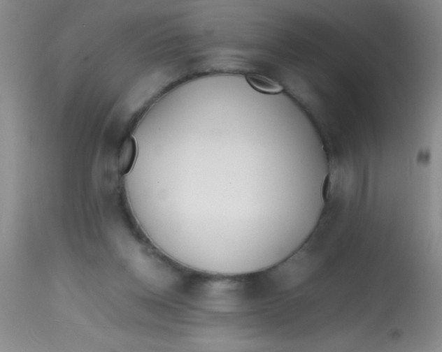 X0000113870158200910151310